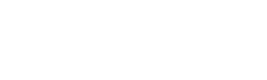 logo de website